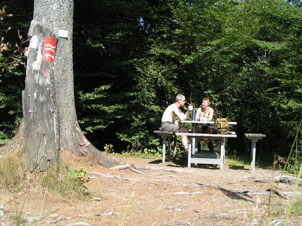Bed And Breakfast Isidorus Winterberg Esterno foto