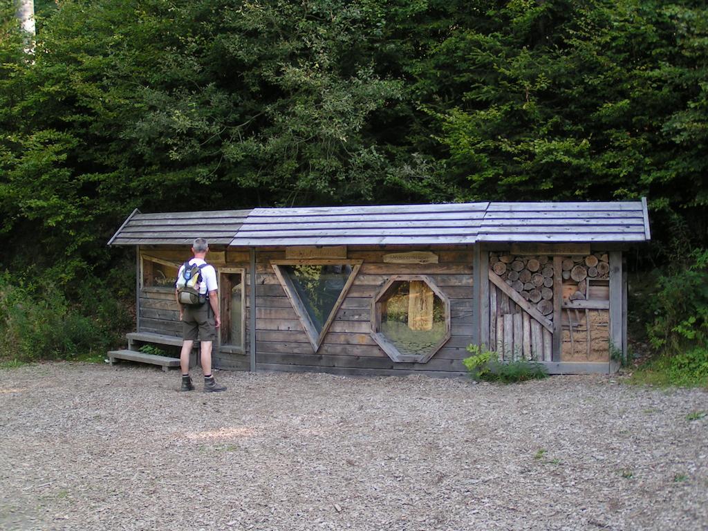 Bed And Breakfast Isidorus Winterberg Esterno foto
