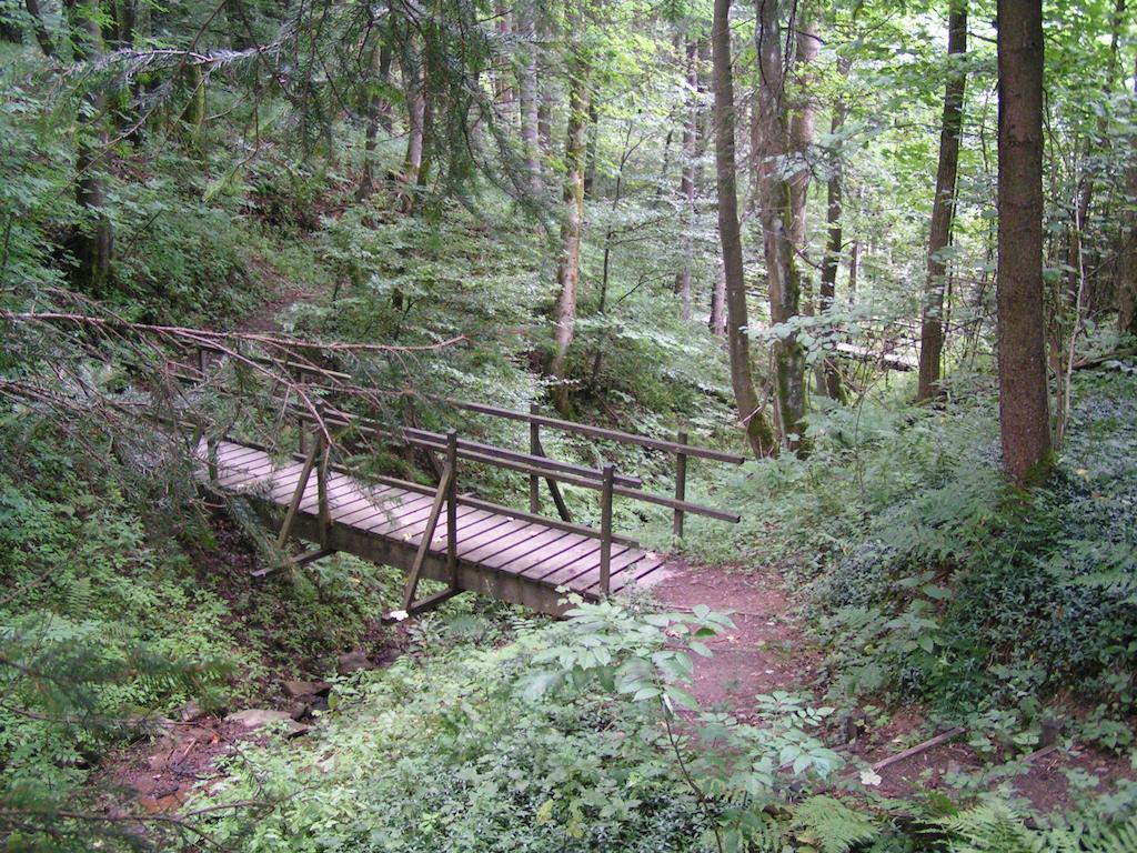 Bed And Breakfast Isidorus Winterberg Esterno foto